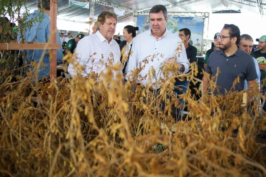 Laguna Carapã realiza o 25º Concurso Pé de Soja e comemora investimentos em infraestrutura