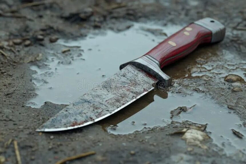 Mulher esfaqueia ficante por negar R$ 20 no Tarsila do Amaral