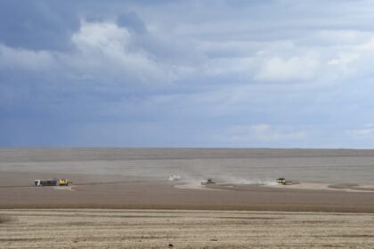 Motor de MS: agronegócio deve puxar PIB do Estado, com previsão de crescer 5,5% neste ano