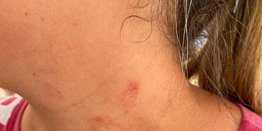 Mulher apanha dentro de banco após não entregar dinheiro para o marido em Chapadão do Sul